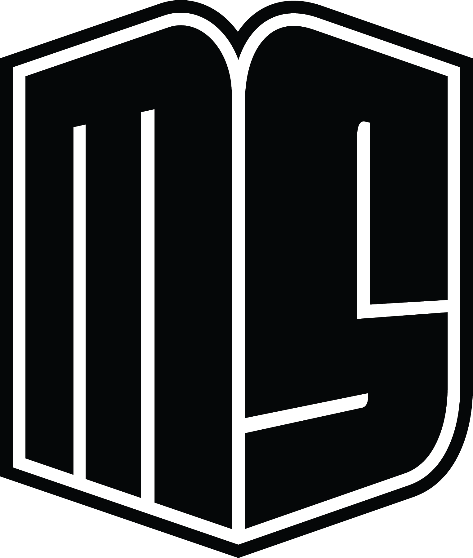 MS logo